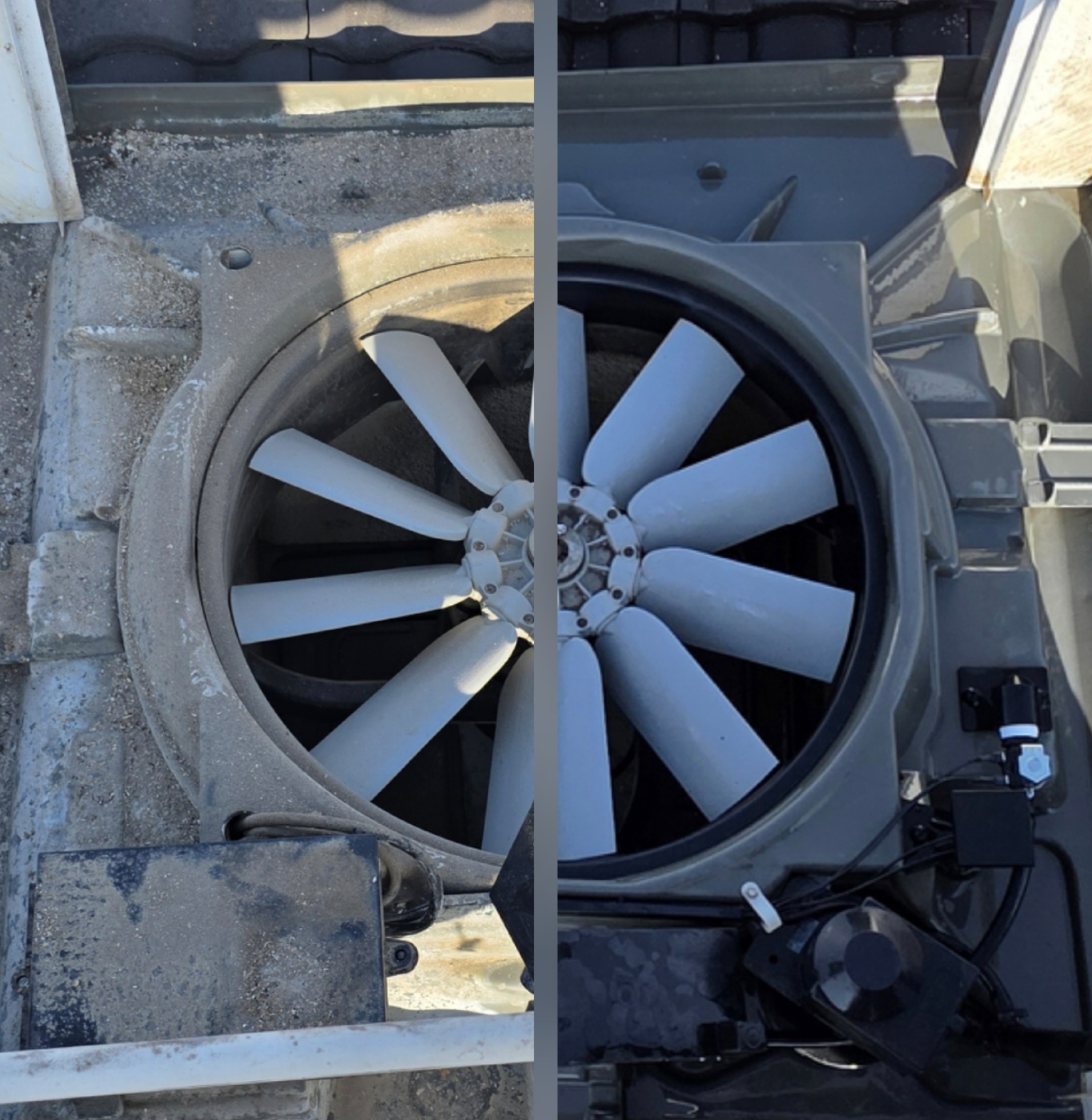 Evap cooler fan clean